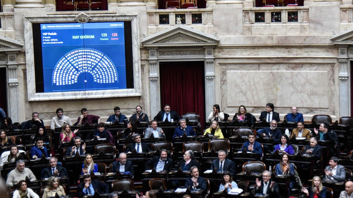 Diputados Le Dio Otro Golpe A Milei Rechazaron El Dnu Que Otorga Cien