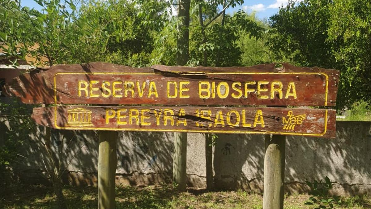 Preocupaci N Por El Estado De Abandono Del Parque Pereyra Infocielo