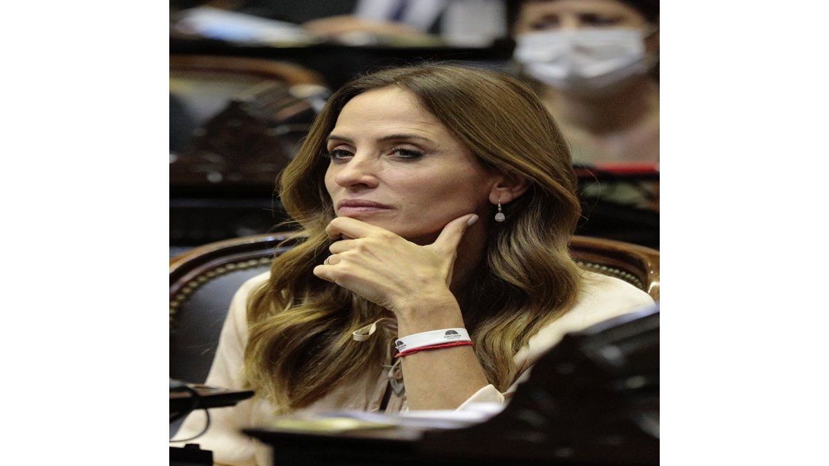 Victoria Tolosa Paz dijo que el FDT votará a favor del acuerdo Infocielo