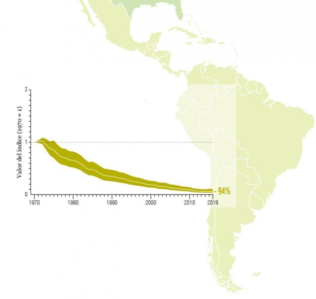 En las zonas tropicales de Am&eacute;rica Latina, la p&eacute;rdida escala al 94% seg&uacute;n el informe de biodiversidad de WWF(Foto: Fundaci&oacute;n Vida Silvestre)