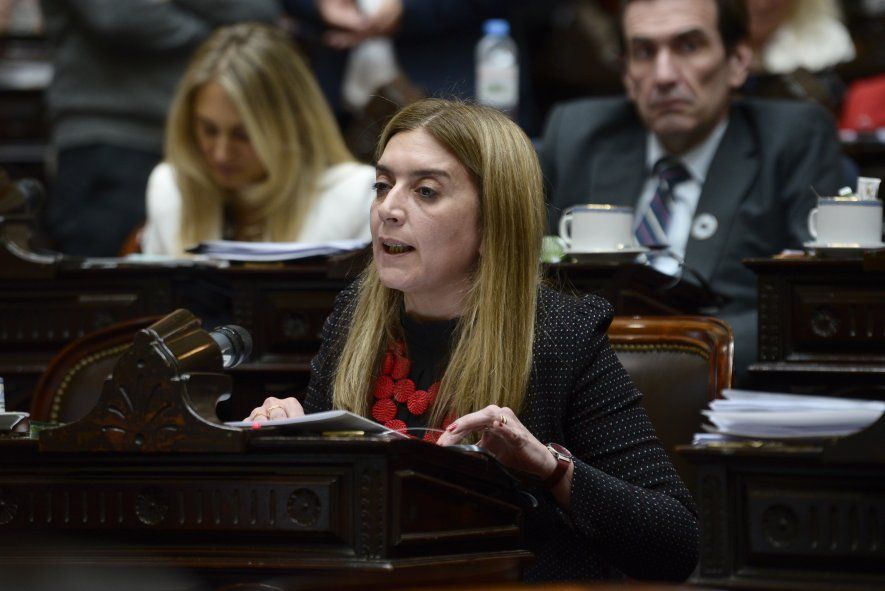 Danya Tavela, diputada radical y docente universitaria en la UNNOBA, votó a favor de la creación de las universidades nacionales.