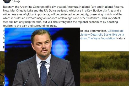 Qué dijo el actor Leonardo DiCaprio del Congreso Argentino y qué respondió el Ministro de Ambiente y Desarrollo Sostenible