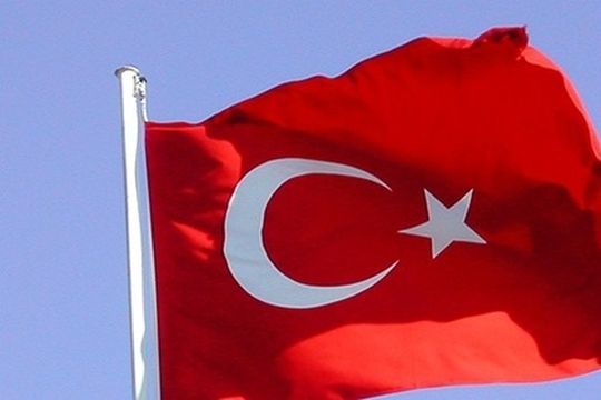 viral: turquia anuncio que cambiara su nombre porque en el buscador aparece un pavo