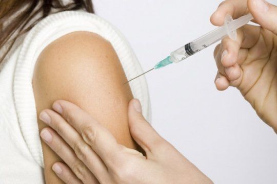 atencion, viajeros: por el brote de fiebre amarilla, recomiendan vacunarse antes de ir a brasil