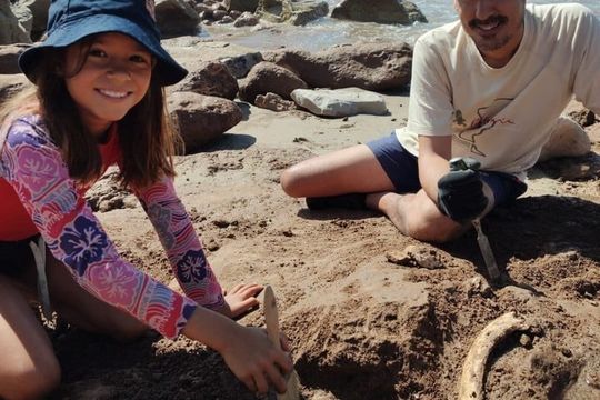 una nina de 9 anos hallo restos de dos gliptodontes de 3 millones de anos en chapadmalal