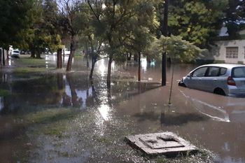 En la tarde del martes, las lluvias ocasionaron que zonas de La Plata vuelvan a inundarse 