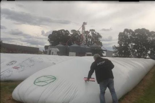 Evasión fiscal: AFIP incautó 1500 toneladas de maíz en Azul