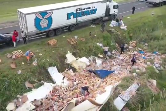 el saqueo de los pollos: la pobreza al desnudo tras vuelco de camion en ruta 2