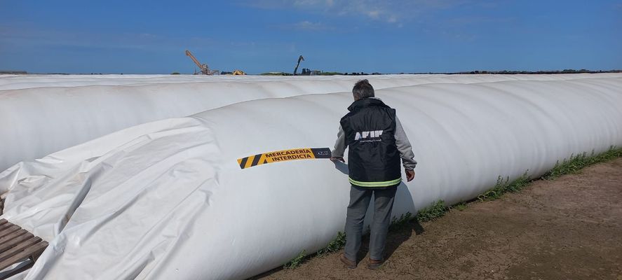 AFIP incautó 3 mil toneladas de granos en un feedlot de Lezama