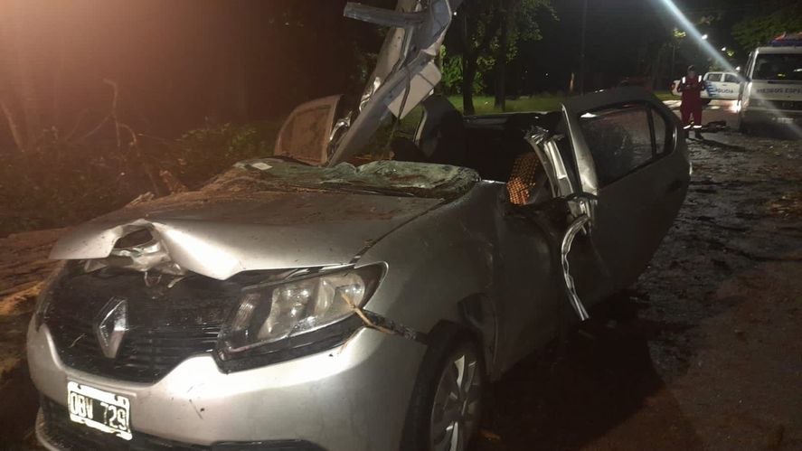 Un árbol aplastó un auto en Gonnet: tenso rescate