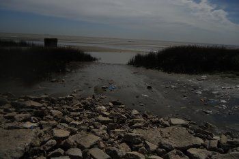 El agua del Río de la Plata, contaminada con microplásticos que contienen bacterias fecales.