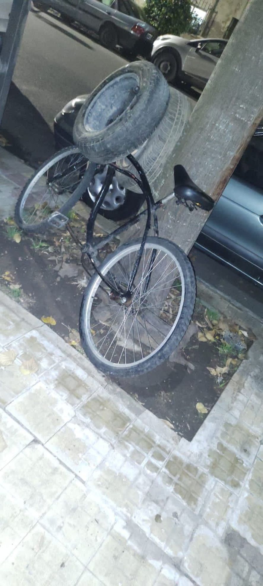 La Plata: iba en bicicleta con dos ruedas de auto robadas