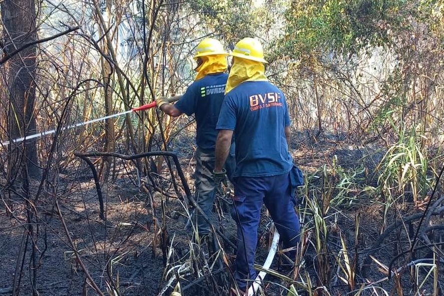 Bomberos de San Fernando combaten incendios en el delta