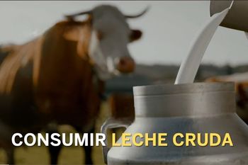 Debate por la moda de la leche cruda: ¿Regreso a lo natural o riesgo para la salud?