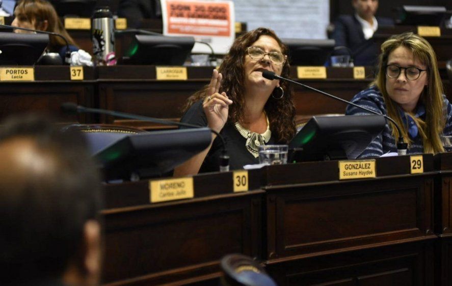 La diputada del Frente de Todos, Susana González, una de las que encabezó el pedido de juicio político a Conte Grand