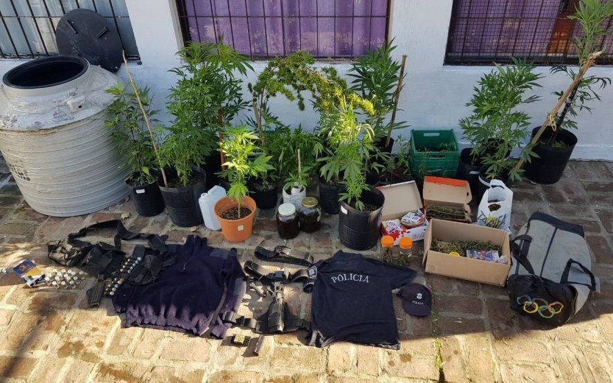 Detuvieron a una cultivadora de marihuana para uso medicinal y hay polémica