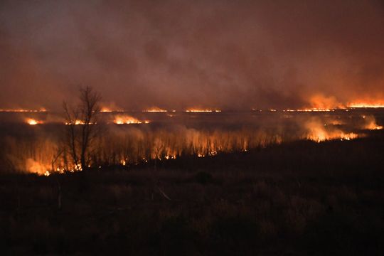 Incendios en el Delta del Parana - Fotos: Juan Jose Garcia