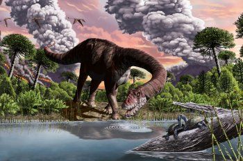 La nueva especie de dinosaurio gigante encontrada en Chubut fue bautizada como Bagualia Alba