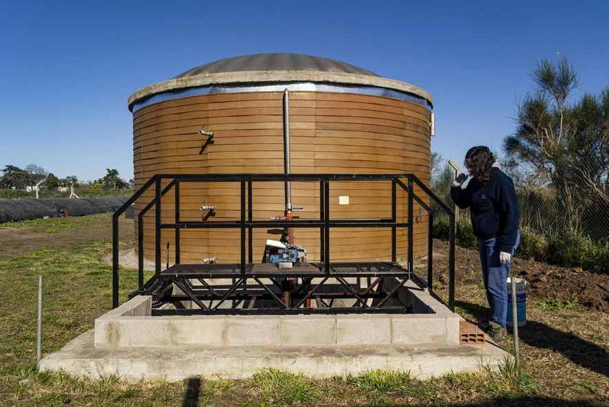 La historia de la planta de biogás que dará energía a un pueblo bonaerense  | Infocielo