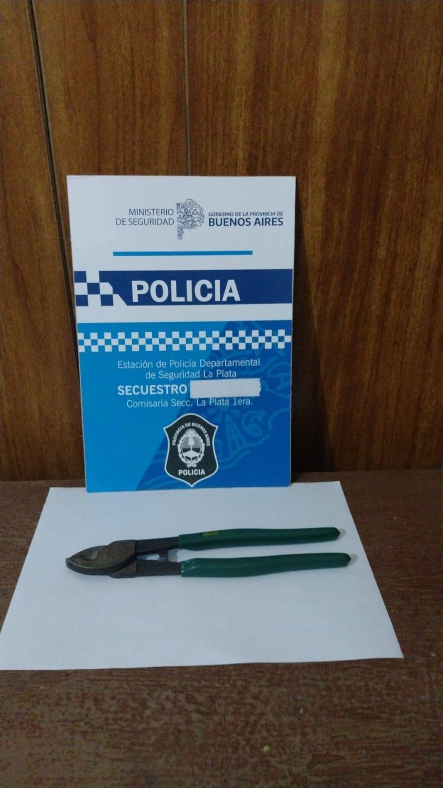 La Plata: cayó una especialista en robo de bicicleta en la facultad de Ingeniería
