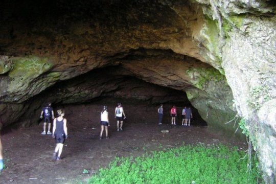 La Cueva de la Salamanca, un refugio de murciélagos que podrían estar en peligro