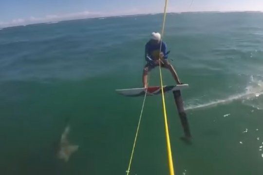 ¿lo cubrira el seguro?: estaba practicando kitesurf y se choco con un tiburon