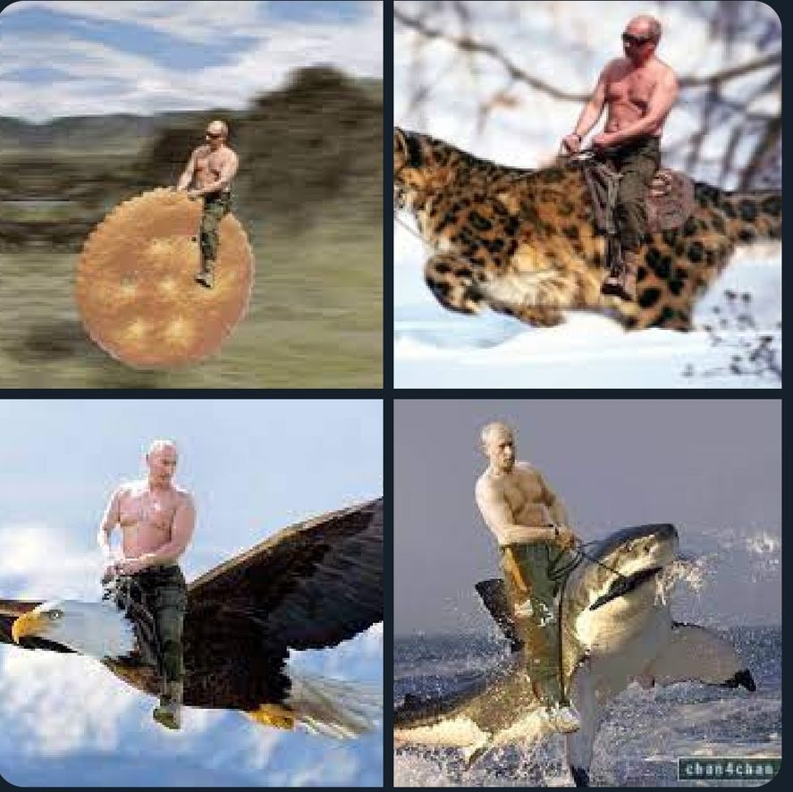 Otros memes de Vladimir Putin con la imagen trucada como la del oso