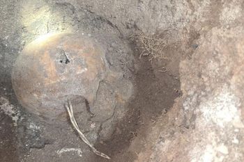 Parte de los restos óseos hallados en martes en González Catán