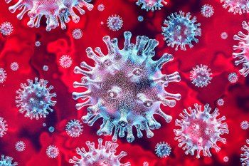 La nueva cepa de coronavirus y la preocupación mundial. 