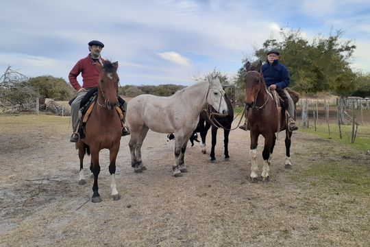 dos veterinarios bonaerenses haran un viaje de mas de 2.000 kilometros a caballo 