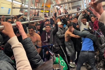 Mirá el video de la pelea en el Tren San Martín que es viral.