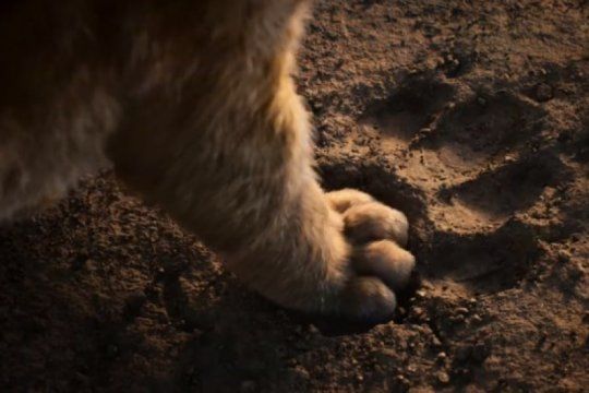 ¡hakuna matata! a 100 dias del estreno, disney publico un nuevo trailer de el rey leon