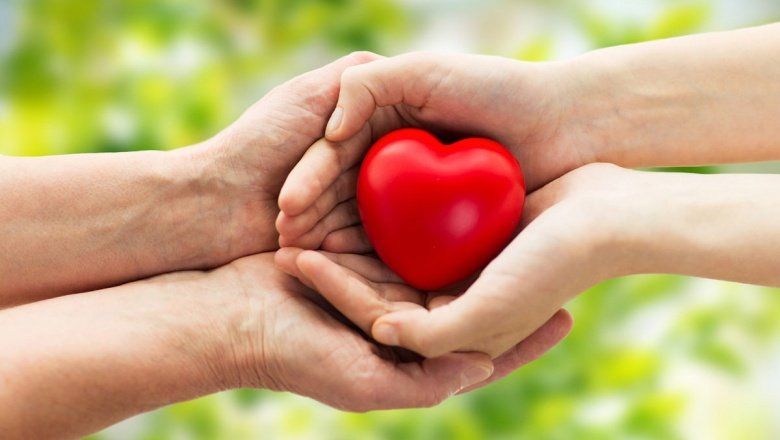 Día Nacional de la Donación de Órganos: cómo es la legislación actual
