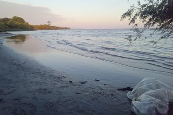 berisso: hallaron el cuerpo de un pescador sin vida en la playa de la 66