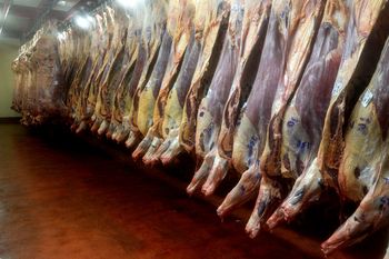 En el Gobierno podrían parar las exportaciones si suben los precios internos de la carne