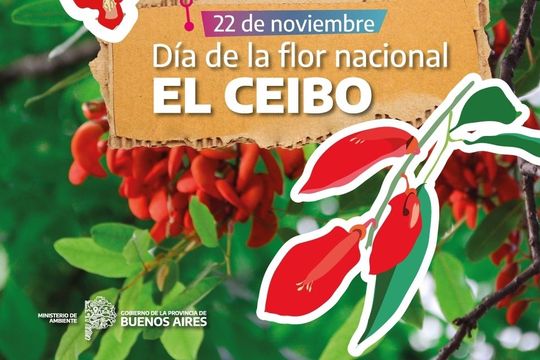 dia nacional del ceibo: provincia de buenos aires celebra su impacto ambiental y cultural