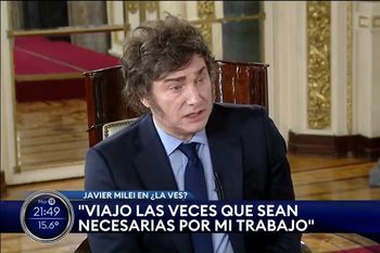 memes a javier milei: de salvador de la derecha mundial a la piedra libertaria