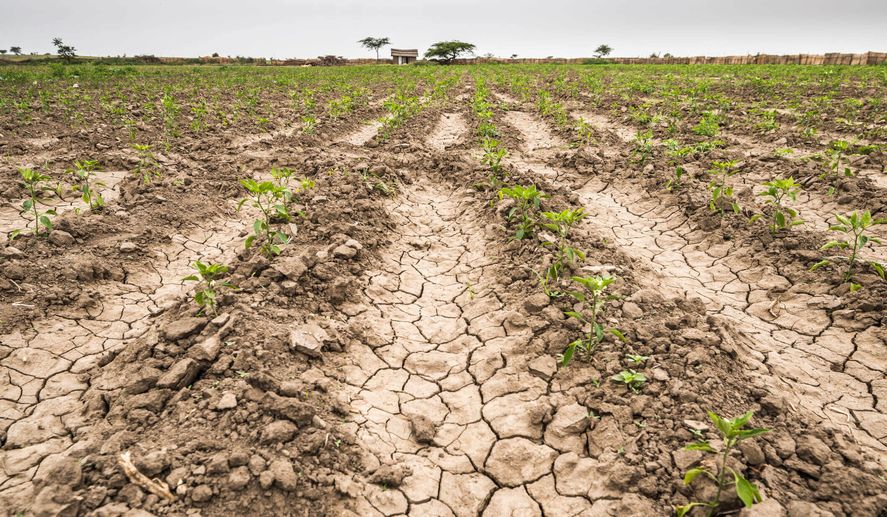 Sequía: Extienden la emergencia  en 39 distritos bonaerenses