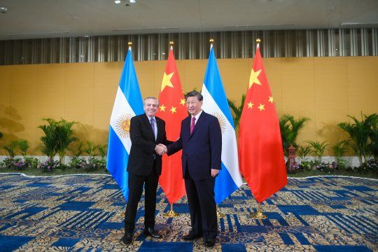 Alberto Fernández y Xi Jinping en la cumbre de líderes del G20.