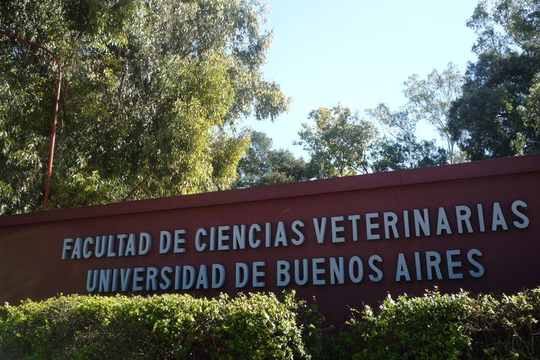 Tras la crisis, se achica el plantel de docentes de la Facultad de Veterinaria de la UBA.