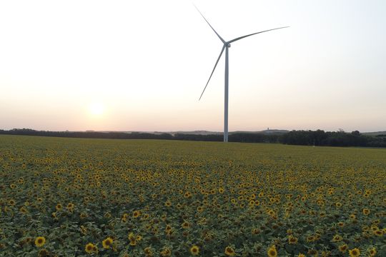 argentina es el cuarto mayor productor de energias renovables de america latina