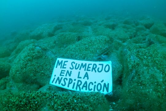 mensajes desde el mar: lanzan una campana para concientizar sobre la importancia de los oceanos