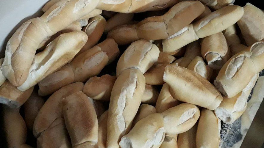 Trigo transgénico: advierten que el pan podría llegar con agroquímicos