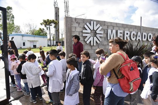 una idea interesante para que los chicos conozcan el camino de los alimentos