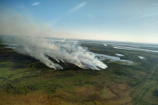 Los incedios en el Delta del Río Paraná atentan seriamente contra el ambiente (foto: noticias.unsam.edu.ar)