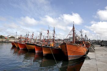 La Plata: Ex combatientes quieren pescar para los comedores sociales