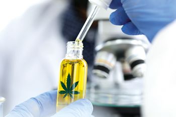 Investigadores de la UNDAV trabajarán con el cannabis medicinal