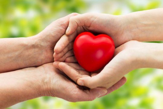 dia nacional de la donacion de organos: mas de 3 mil bonaerenses esperan por un trasplante