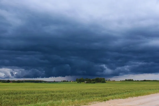 el smn lanzo una alerta por tormentas fuertes, rafagas y posible caida de granizo en la provincia