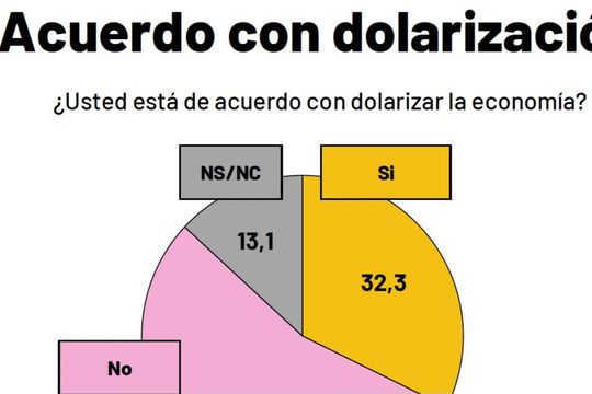 Los resultados de la encuesta que midió el apoyo o rechazo a las principales propuestas del presidente electo Javier Milei, como por ejemplo la dolarización